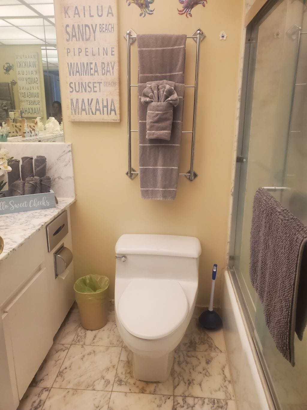 A bathroom with a toilet, a towel rack with a towel, a trash bin, and a sign with beach names.