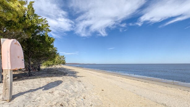 A beach with a mailbox on the left, trees, and a clear sky. - Captain's Quarters (Frederica)