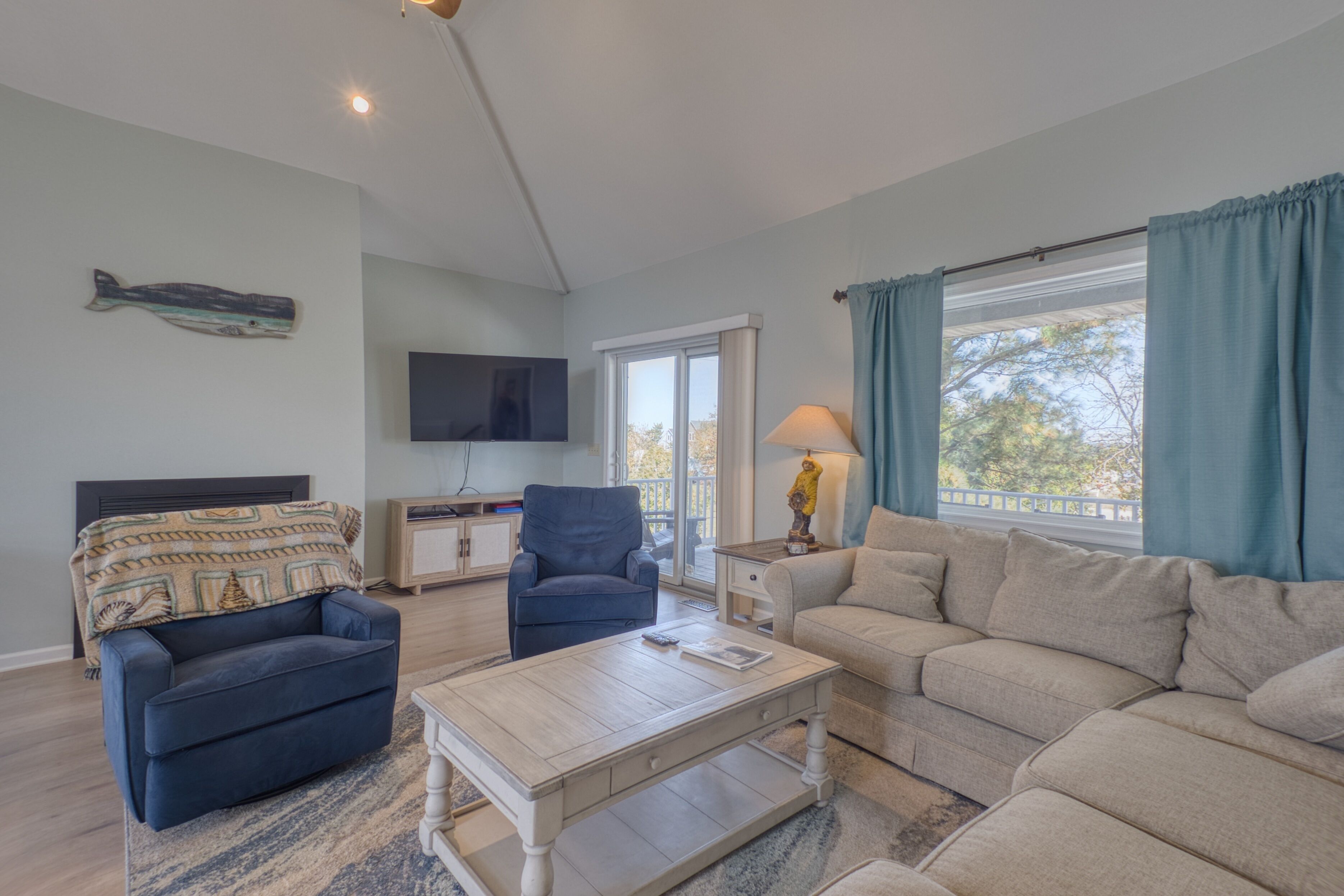 Smart TV, DVD player, books, video library