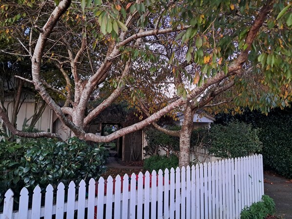 A tree with a white picket fence in front of a building. - Manukorihi Secret Cottage (Waitara)