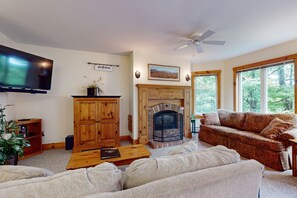 TV, fireplace, video games, books