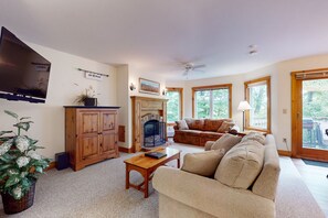 TV, fireplace, video games, books