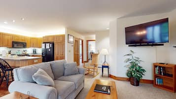 TV, fireplace, video games, books