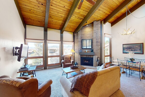 TV, fireplace, DVD player, books