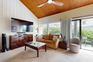 TV, DVD player, video library, stereo