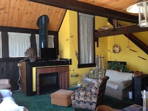 Smart TV, fireplace, video games, computer monitors