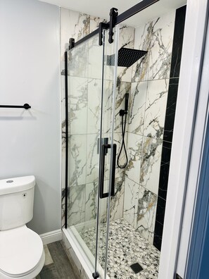 Combined shower/tub, jetted tub, hair dryer, towels