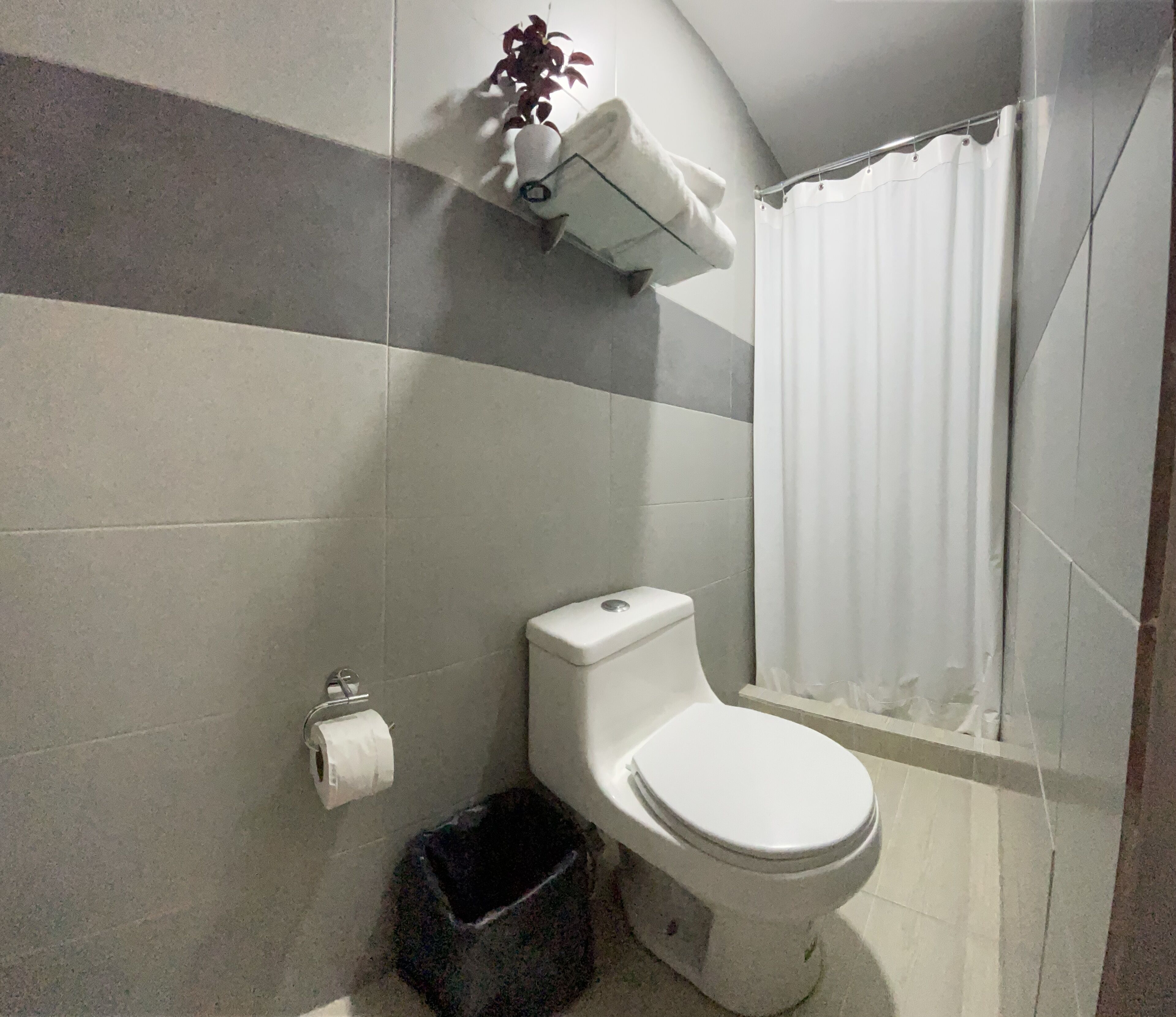 shower, free toiletries, towels