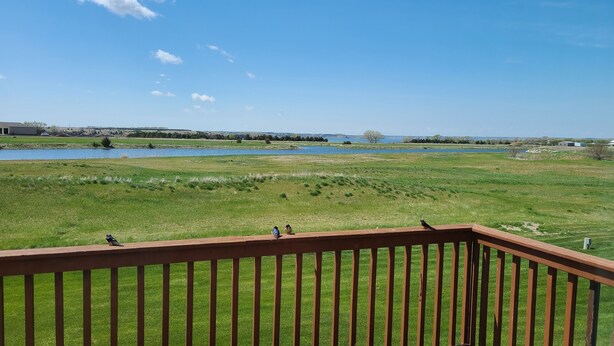 A grassy field with a wooden deck in the foreground. - Hunting, Fishing and River-fun Getaway! (Pierre)