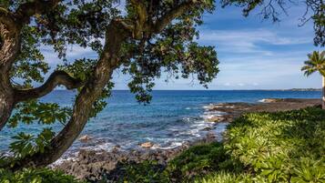 Condo, 1 Bedroom, Garden View | Beach