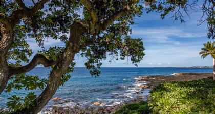 Big Island Royal Seacliff 325 by Coldwell Island Banker Vacations