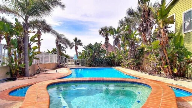 Une piscine au design incurvé, entourée de palmiers et bordée de briques.