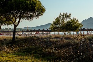 Nära stranden