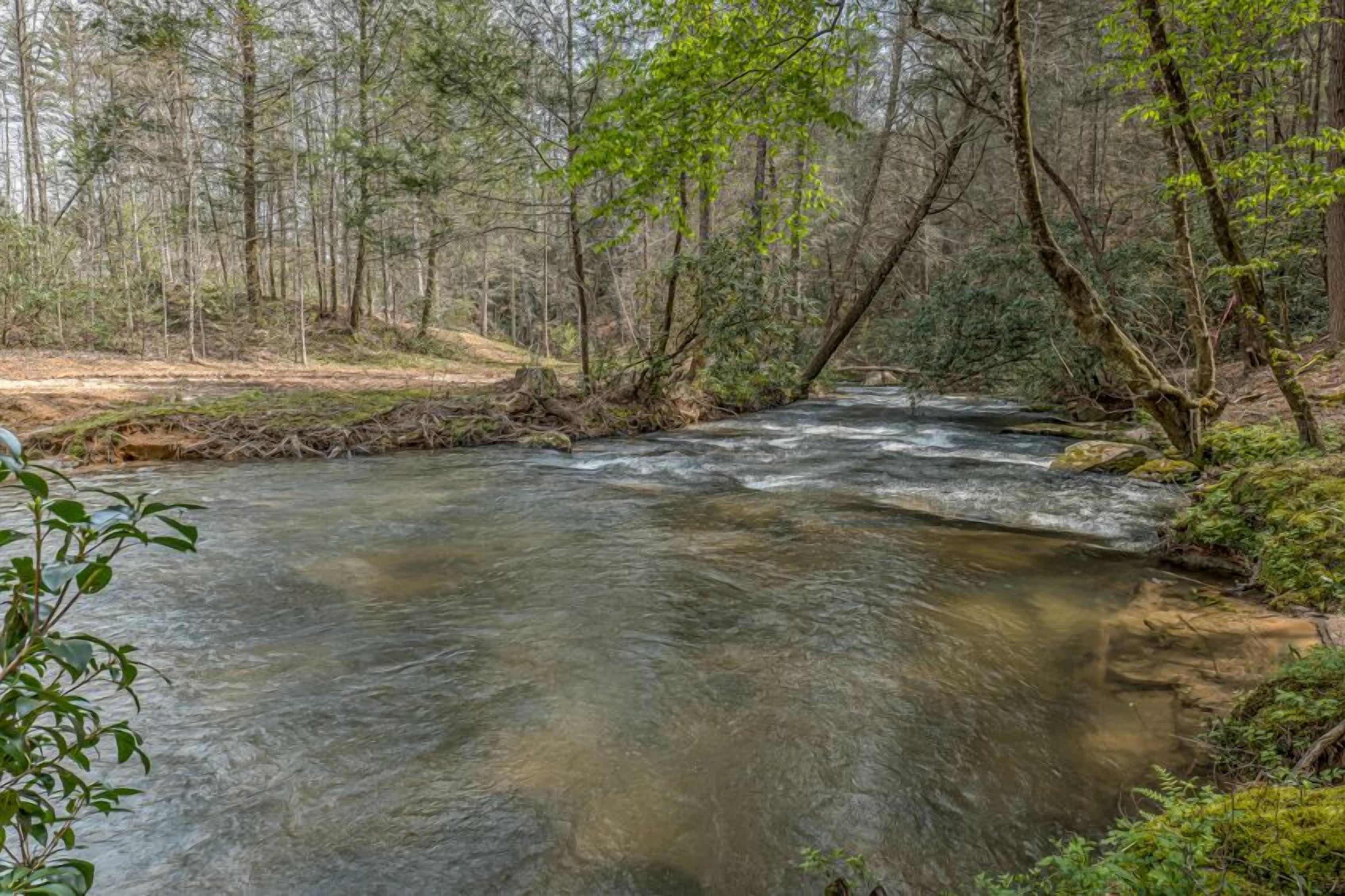 Une rivière qui traverse une zone boisée, caractérisée par une végétation dense et un cours d’eau limpide.