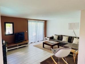 TV, fireplace, table football, books