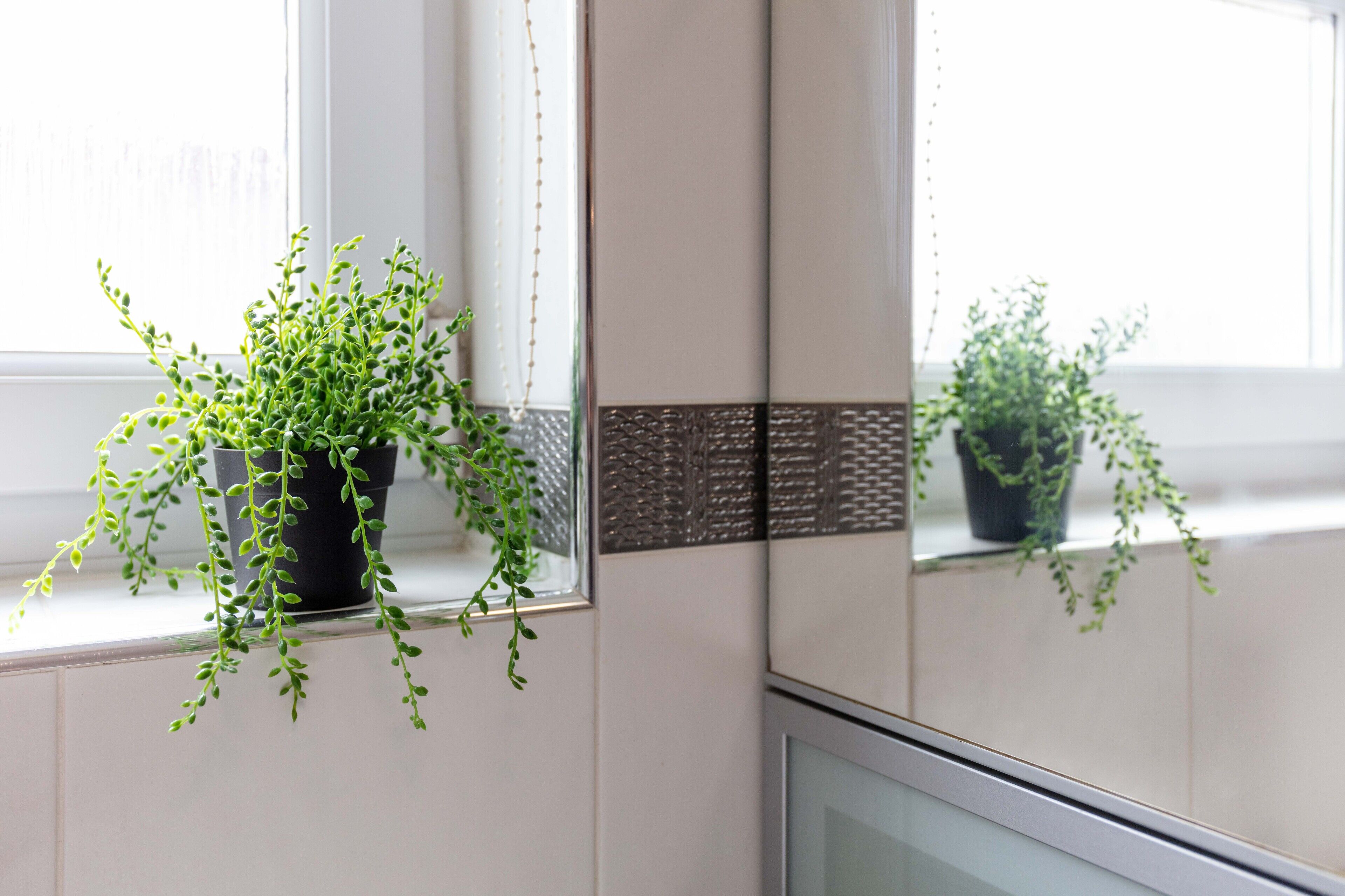 Elms Way No33 - Donnini Apartments