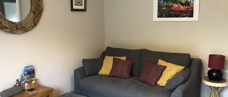 Smart TV, DVD player, books, video library