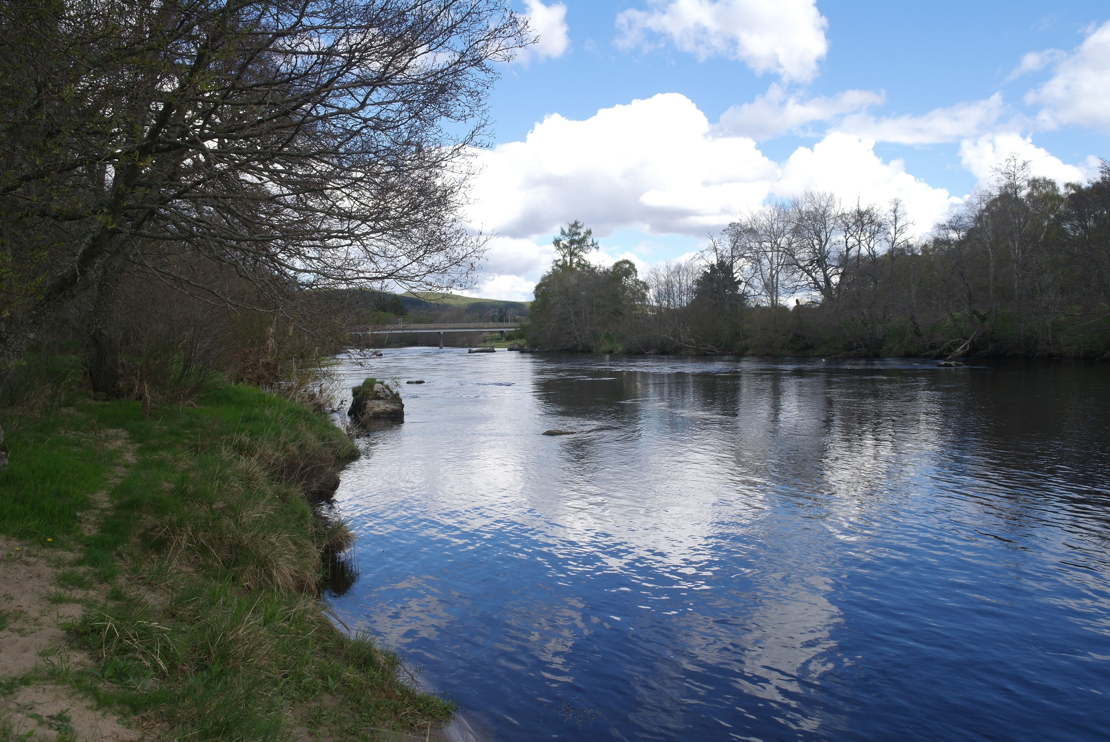 Ein Fluss mit einer Brücke im Hintergrund, umgeben von Bäumen und grünen Ufern.
