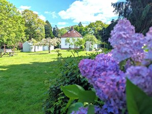 Escape to a serene garden oasis with a charming chapel surrounded by lush greenery and vibrant flowers.