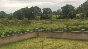 Vista de uma varanda com piso de tijolos, uma pequena árvore em um vaso circular e um portão de metal.