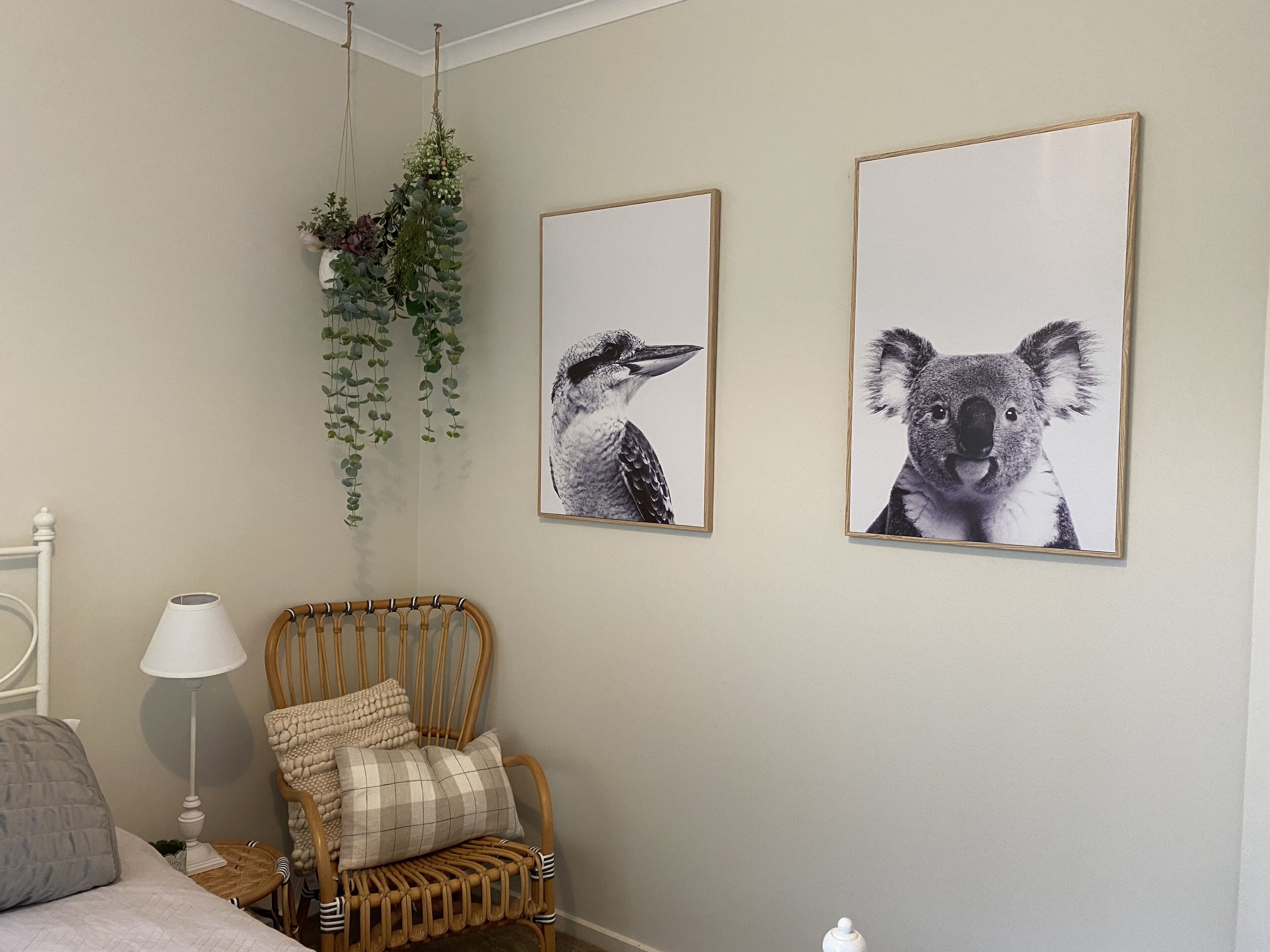 A bedroom with a bed, a wicker chair with cushions, a hanging plant, and two framed animal pictures on the wall.