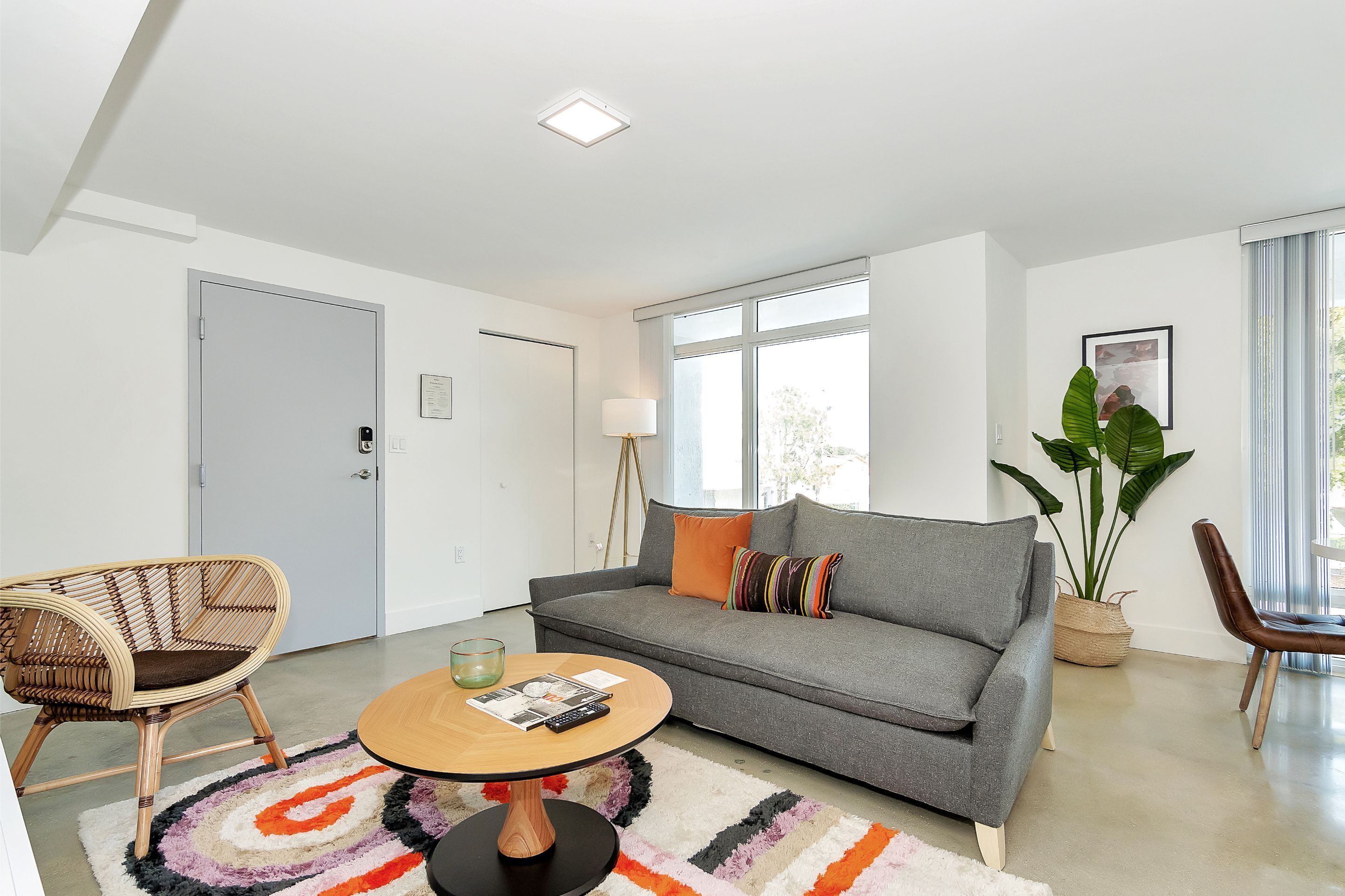 Un salon moderne avec un canapé gris, un fauteuil en osier, une table basse ronde en bois et une grande plante.