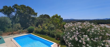 A rectangular swimming pool with a clear blue water surface, surrounded by a well-maintained lawn and various shrubs.