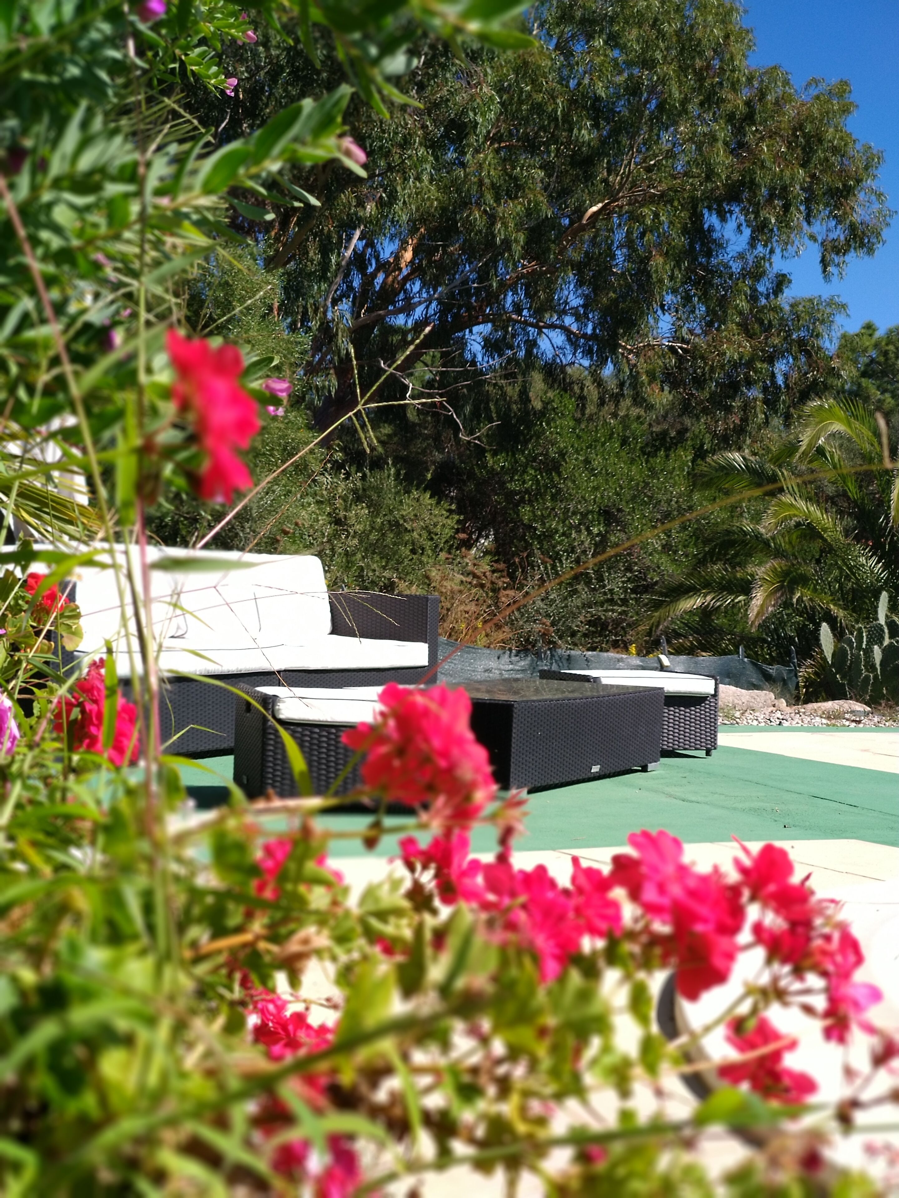 Terassi/patio