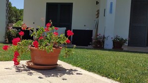 A potted red flower plant on a concrete surface in front of a building with a white facade and black shutters. - Villa Larco, Private Villa, Pool & Gardens & Stunning Views (Bassacutena)
