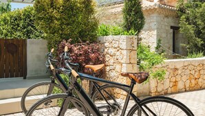 Una bicicleta aparcada sobre una superfície pavimentada, amb un mur de pedra i vegetació al fons.