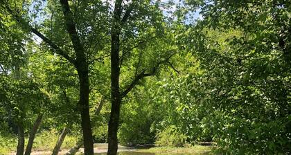 Peace in the Country