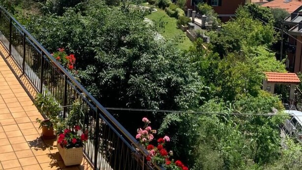 A balcony with a tiled floor, potted plants, and a view of a hillside with buildings and trees. - Flatty Alassio - Aloe (Alassio)