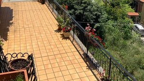 A tiled balcony with potted plants and a view of a residential street and greenery. - Flatty Alassio - Aloe (Alassio)