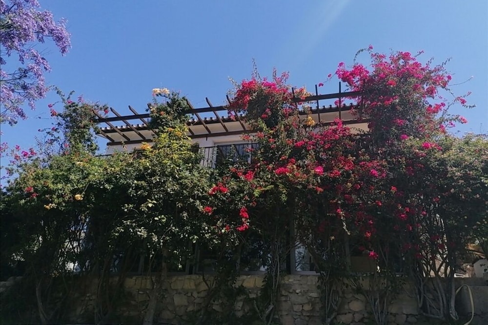 Villa Privée Avec Jardin Luxuriant et Piscine