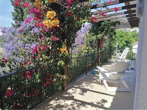 Terras
