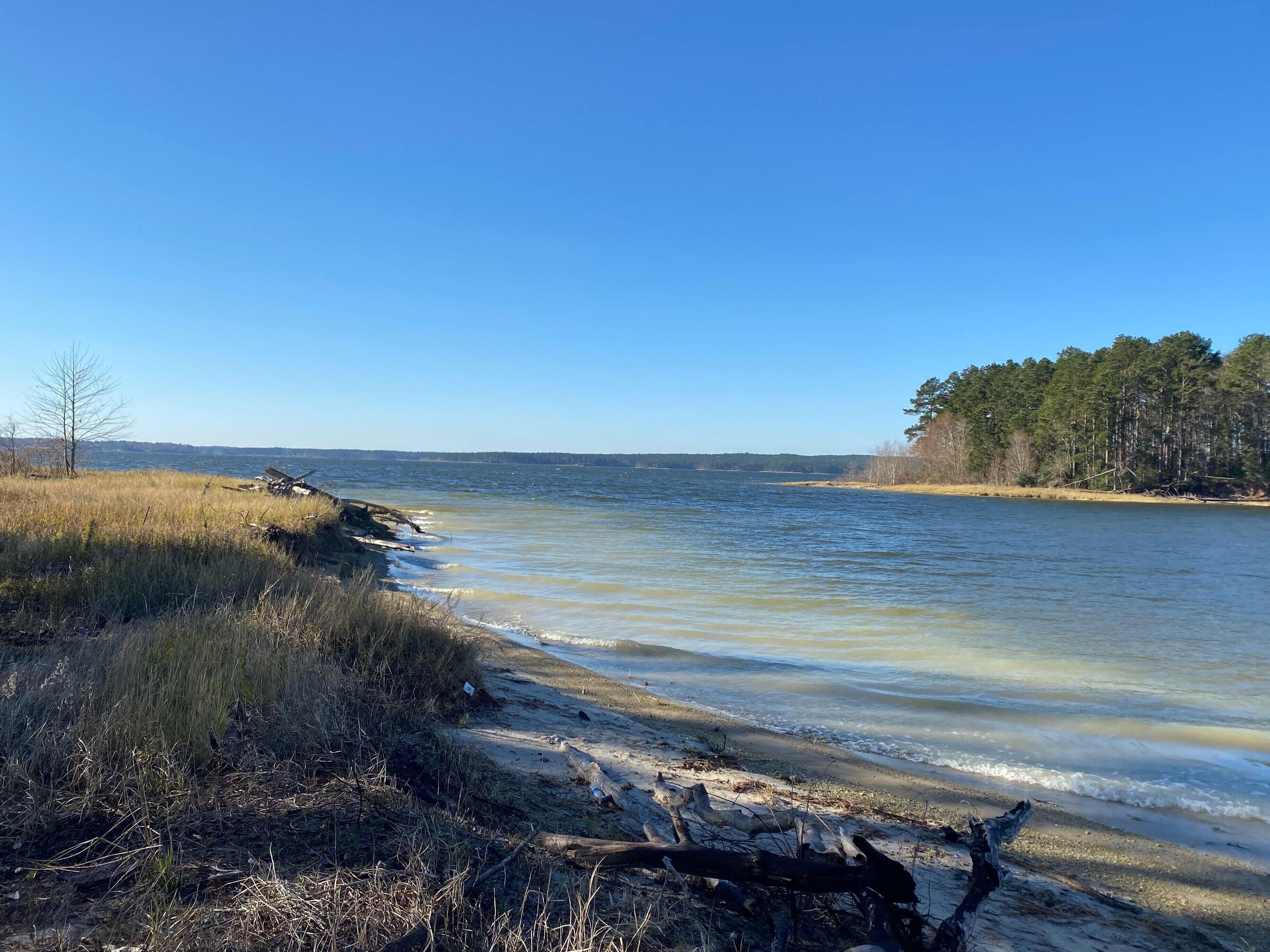 Tentrr State Park Site -  Louisiana South Toledo Bend State Park - Site D -  Sin
