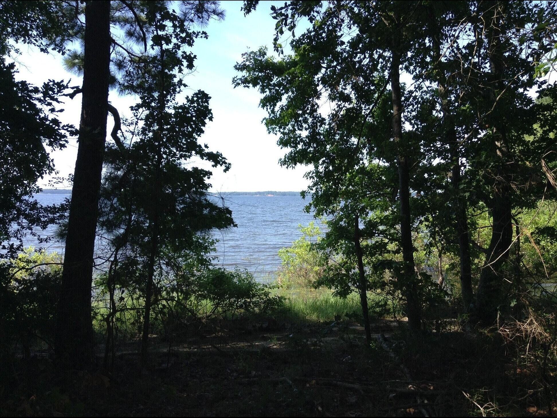 Tentrr State Park Site -  Louisiana South Toledo Bend State Park - Site D -  Sin