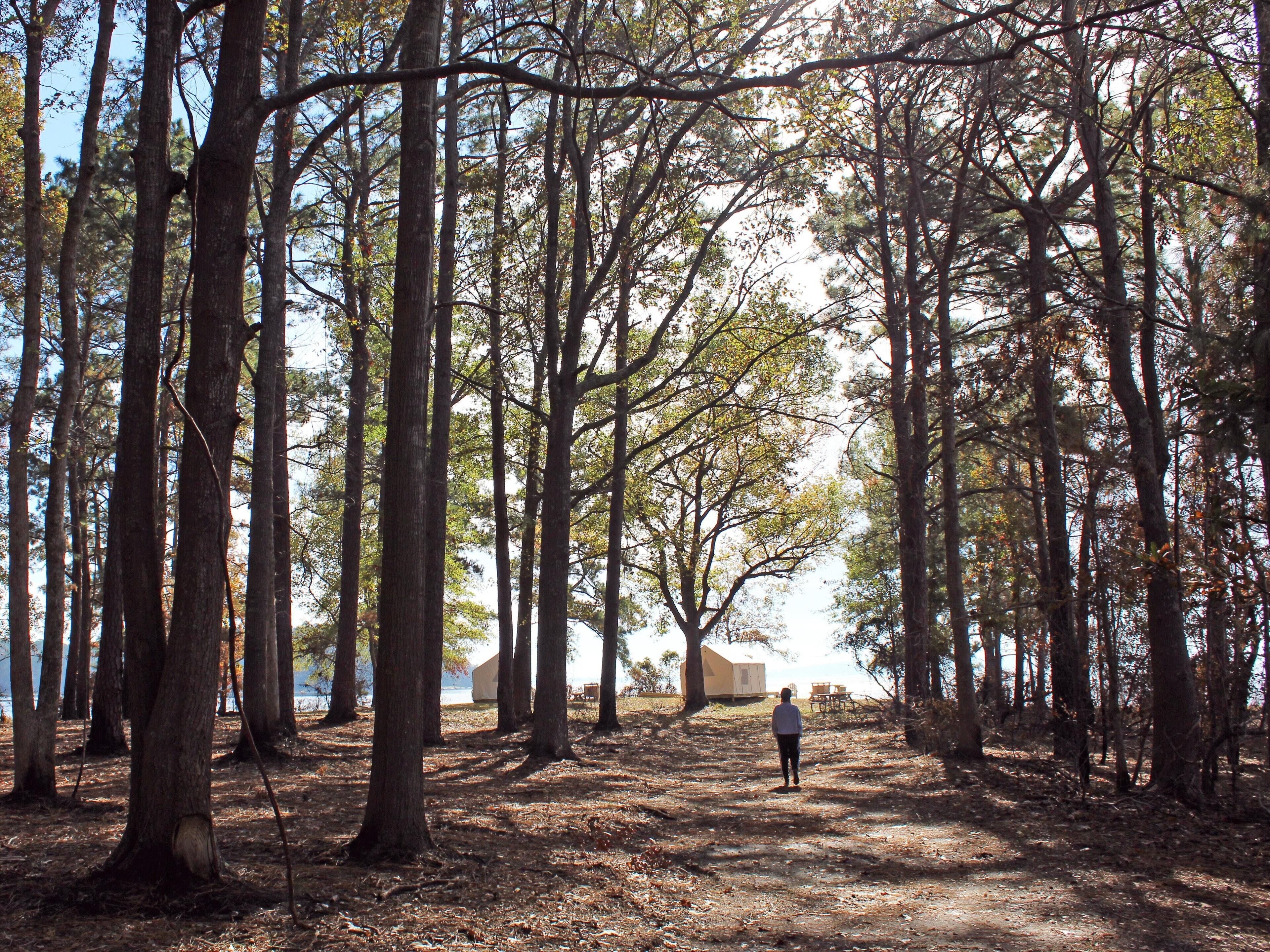Tentrr State Park Site -  Louisiana South Toledo Bend State Park - Site G - Sing