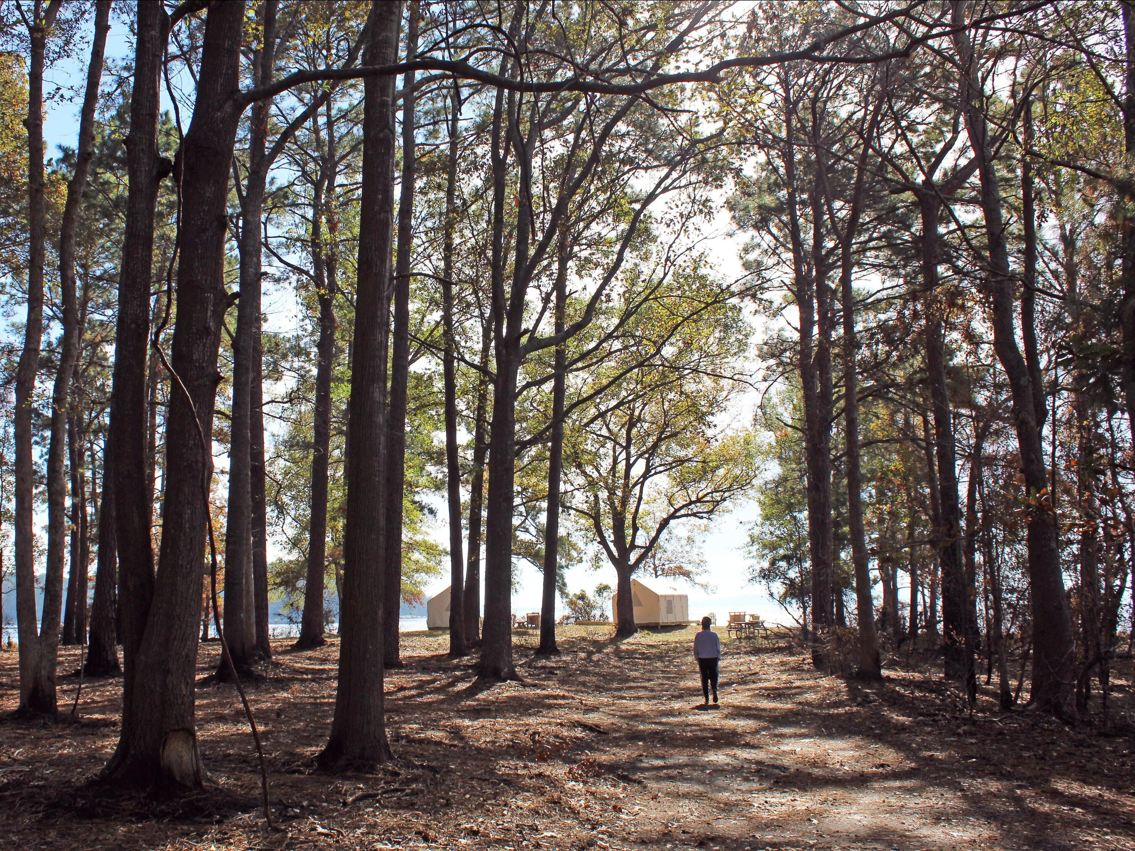 Tentrr State Park Site -  Louisiana South Toledo Bend State Park - Site I - Sing