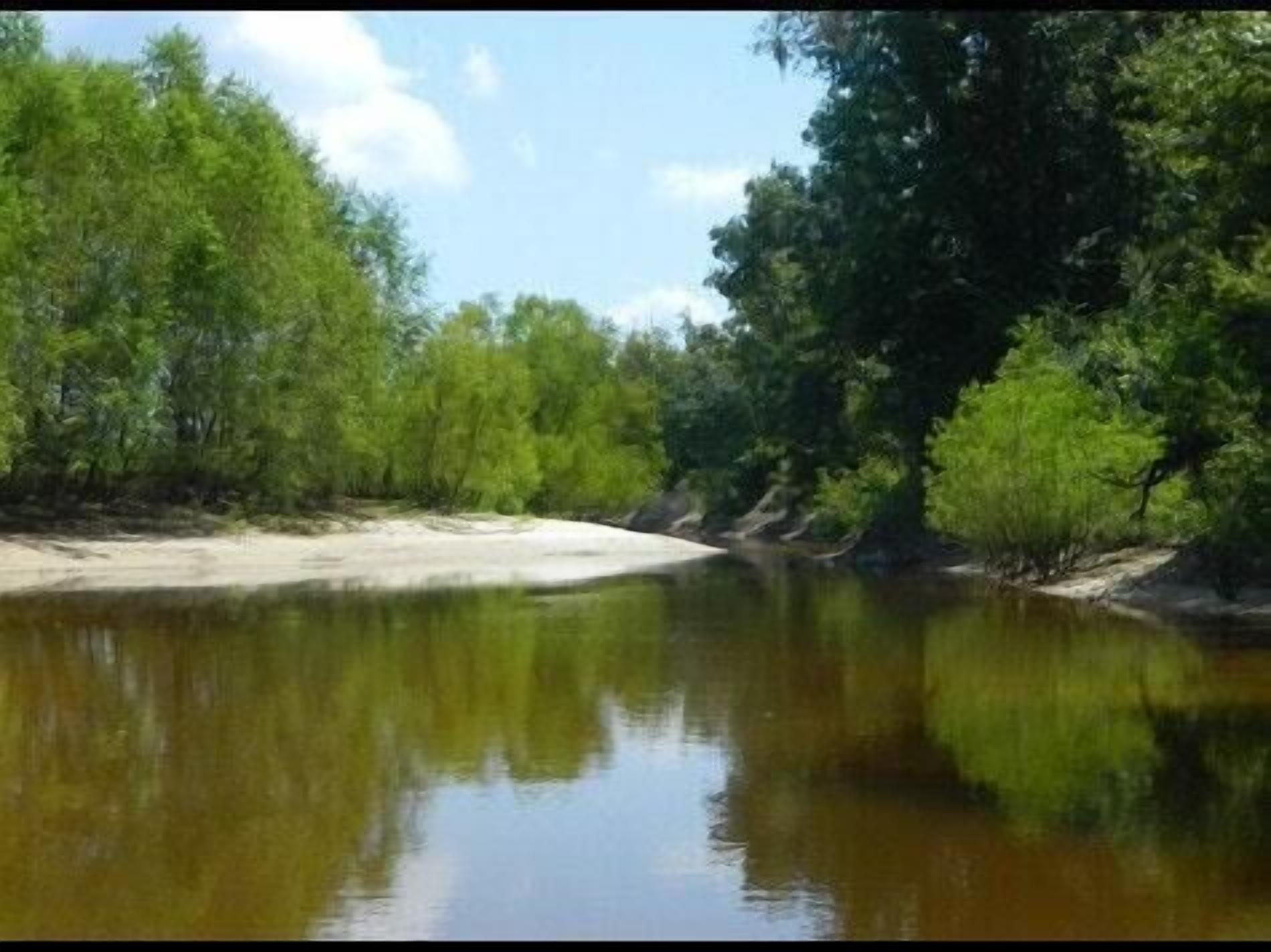 Tentrr State Park Site - Louisiana Bogue Chitto State Park - Riverview I - Singl