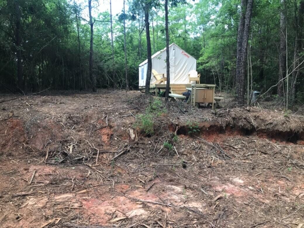 Tentrr State Park Site - Louisiana Bogue Chitto State Park - Bike Trail D - Sing
