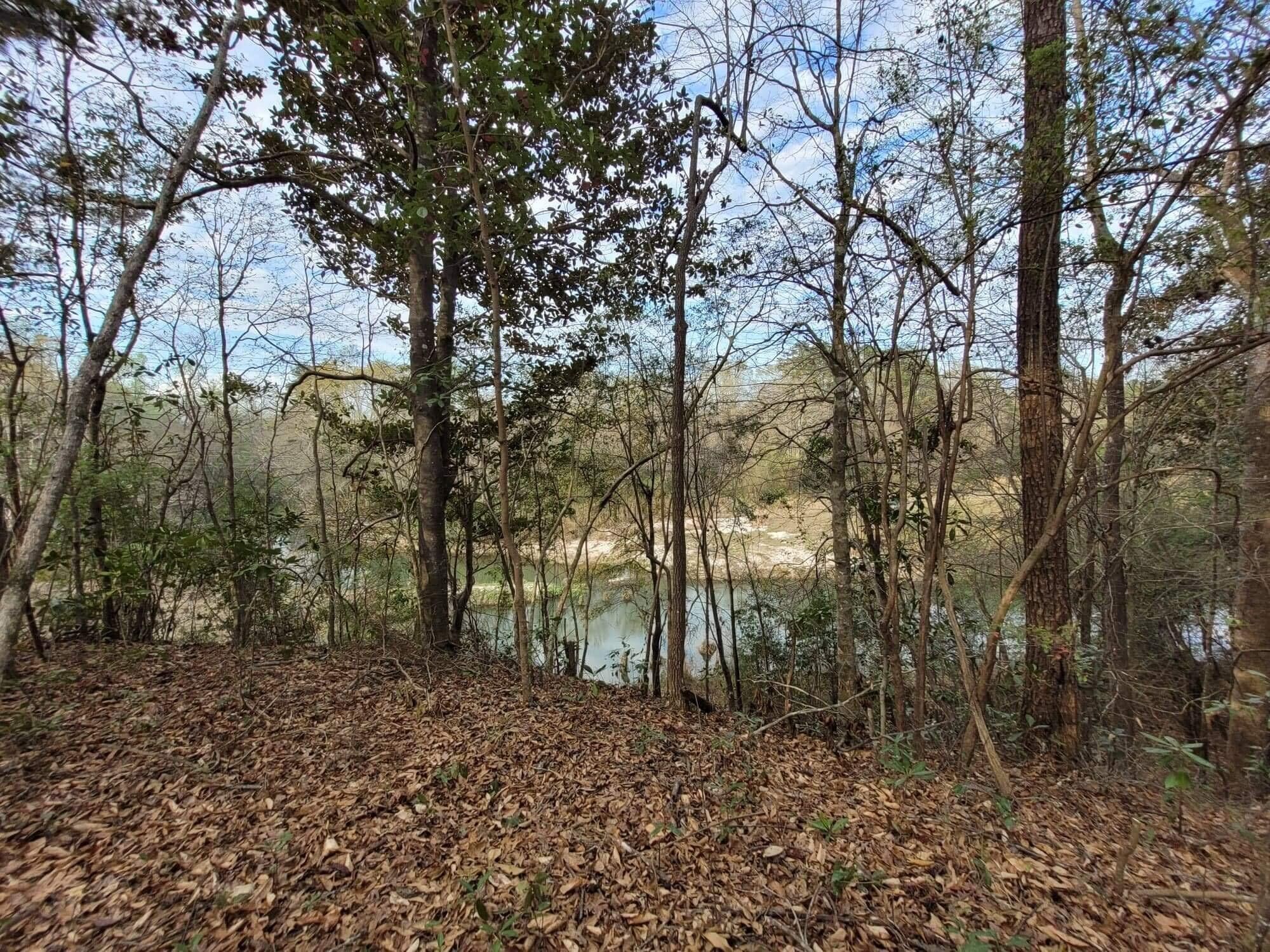 Tentrr State Park Site - Louisiana Bogue Chitto State Park - Upland Cliff H - Si