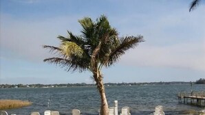 A palm tree by a waterfront with lounge chairs and a dock. - Lake Placid Home Boat Parking and Clubhouse Access by RedAwning (Lake Placid)