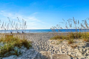Una playa arenosa con pastos altos y un cielo azul despejado.