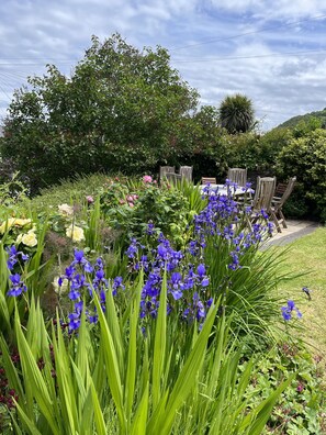 Outdoor dining - Beautiful Georgian house that sleeps up to 12. Lynton, North Devon (lynton)