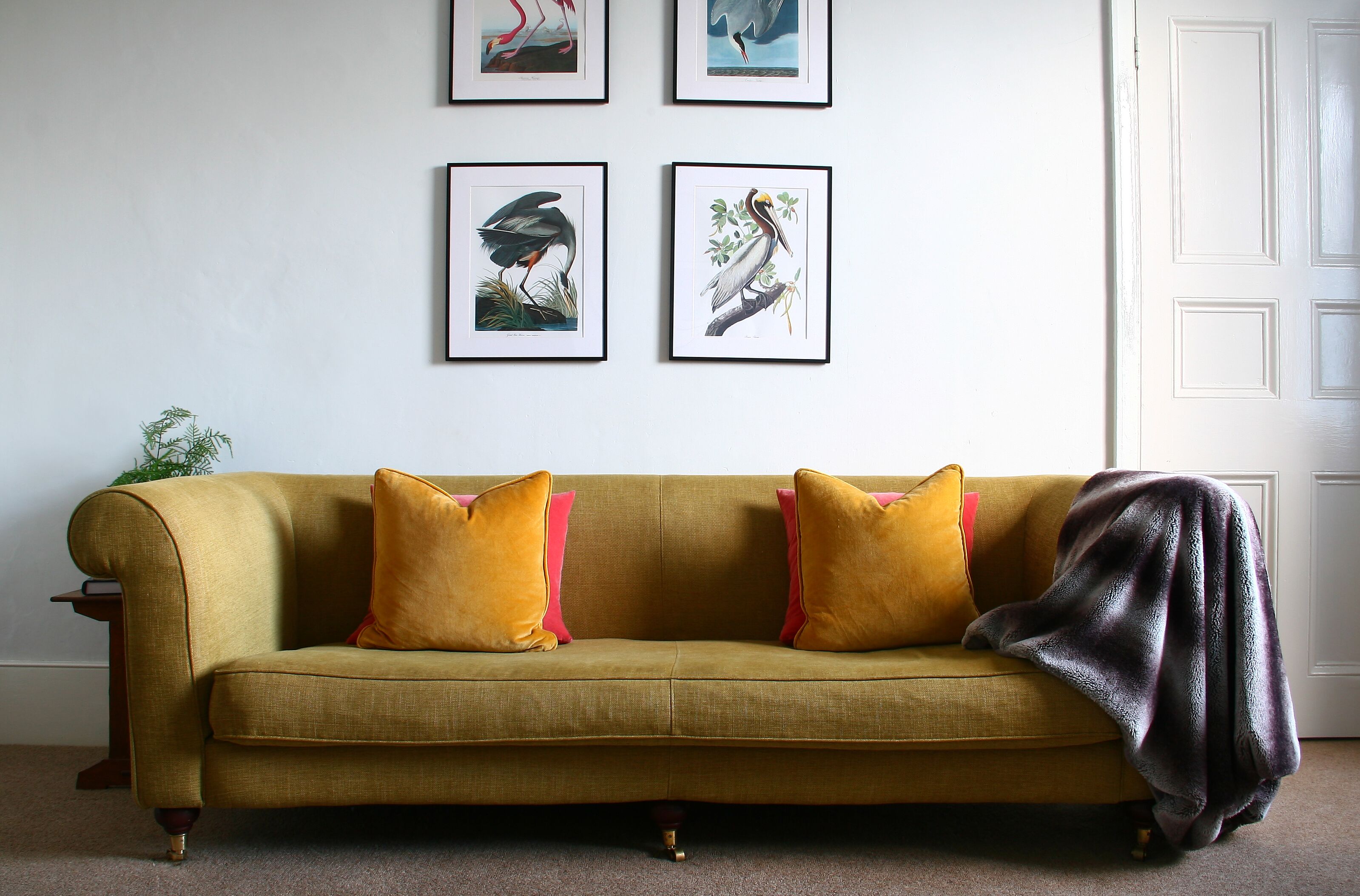A mustard-colored sofa with two pink and two yellow cushions, a dark throw blanket, and framed bird illustrations on the wall.