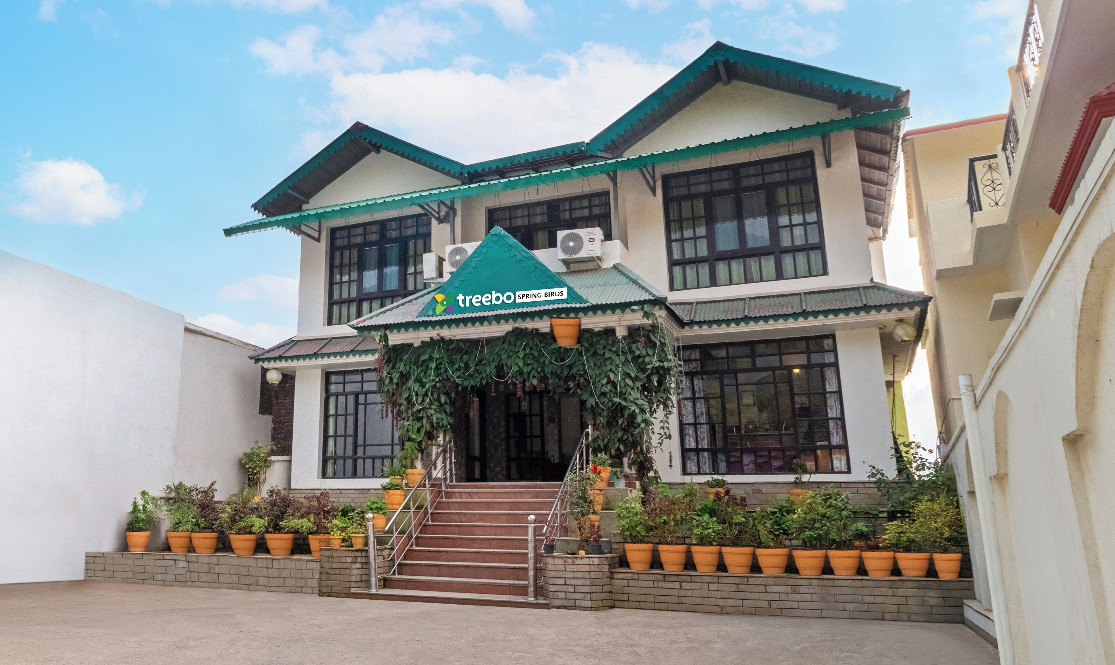 A two-story building with a green awning and a sign that reads "treebo SPRING BIRDS". There are steps leading to the entrance, and potted plants are arranged around the building.