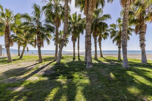 A beach with palm trees and a clear view of the ocean.