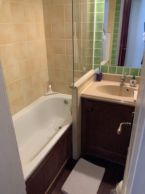 Bathtub, hair dryer, toilet paper