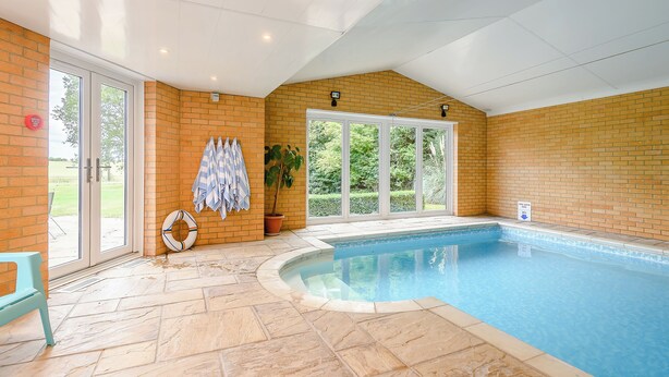 An indoor swimming pool with a brick wall, a door leading outside, and a potted plant.